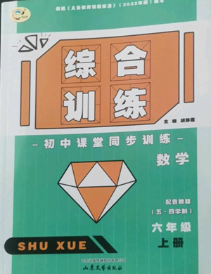 山東文藝出版社2022綜合訓(xùn)練初中課堂同步訓(xùn)練五四學(xué)制六年級(jí)上冊(cè)數(shù)學(xué)魯教版參考答案