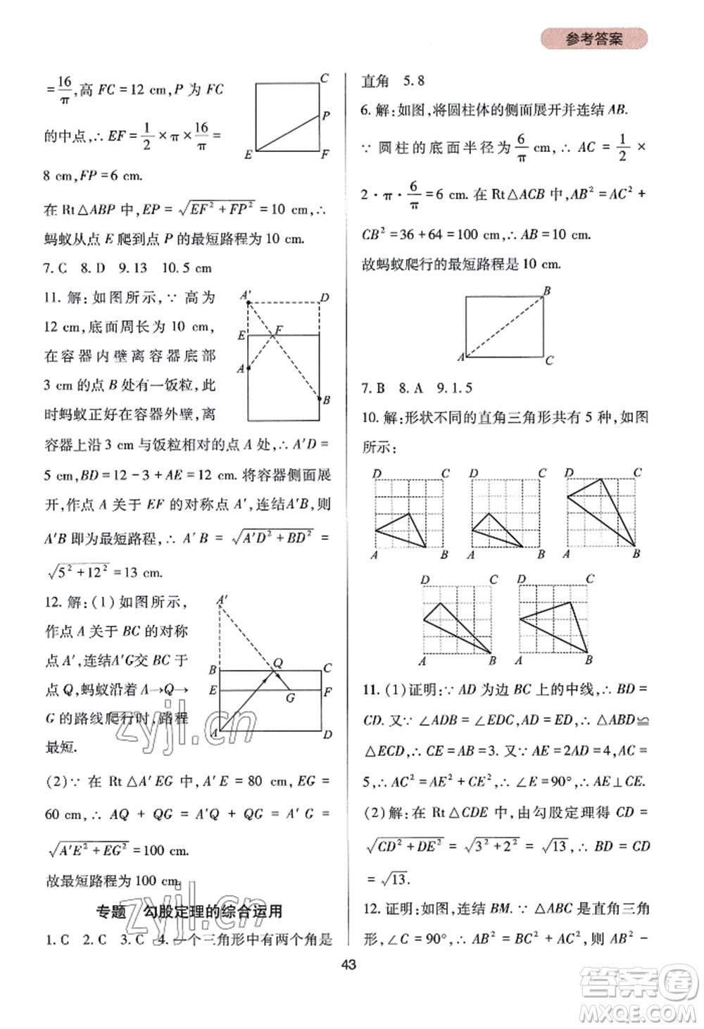 四川教育出版社2022新課程實(shí)踐與探究叢書八年級(jí)上冊(cè)數(shù)學(xué)華師大版參考答案