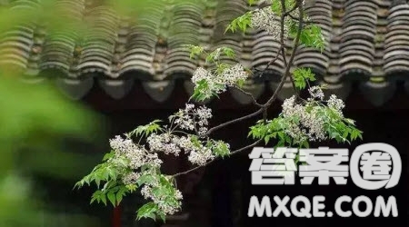 告別稚嫩為題作文600字 關于告別稚嫩為題目的作文600字
