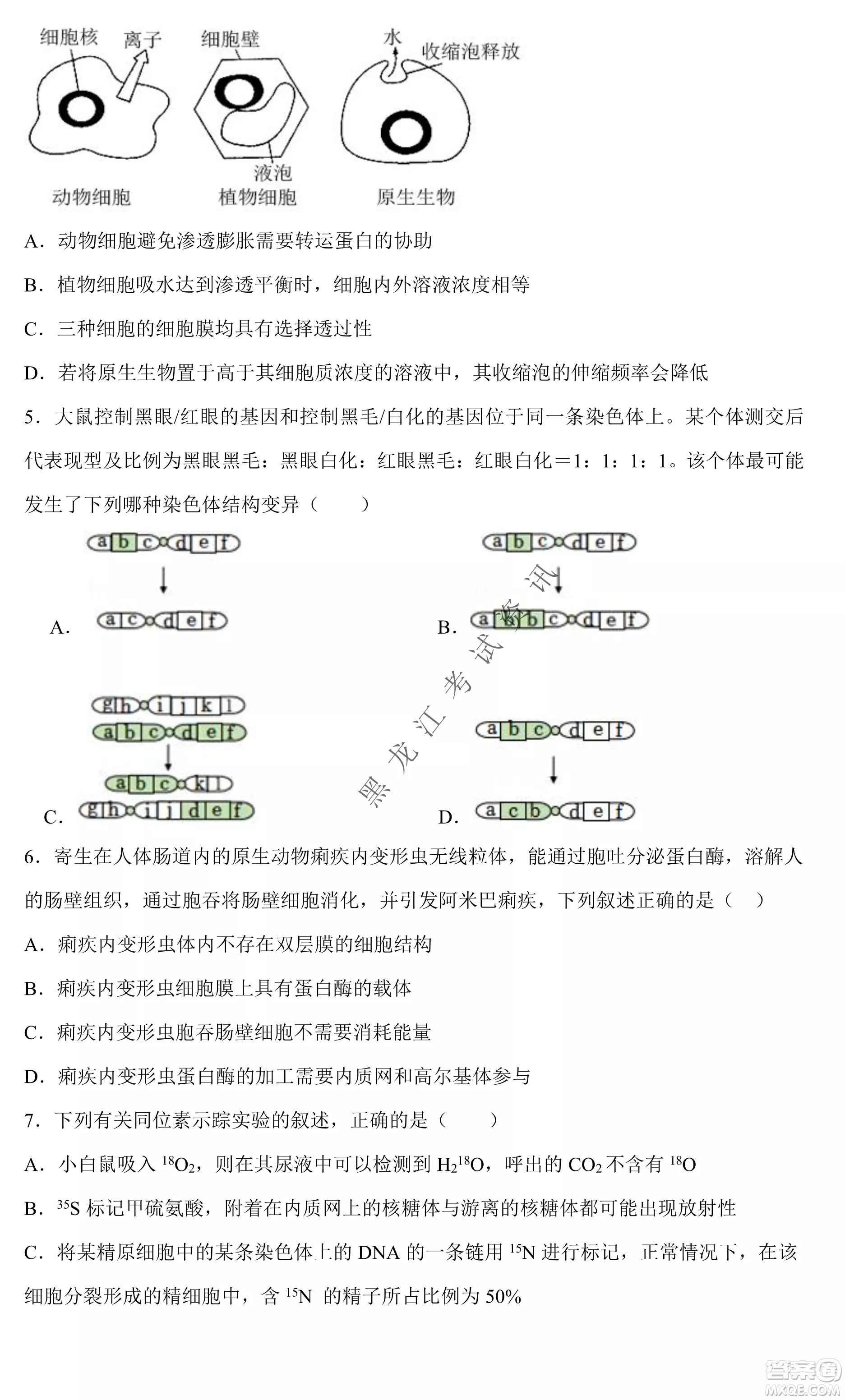 2023遼寧省六校高三期中考試生物試題及答案
