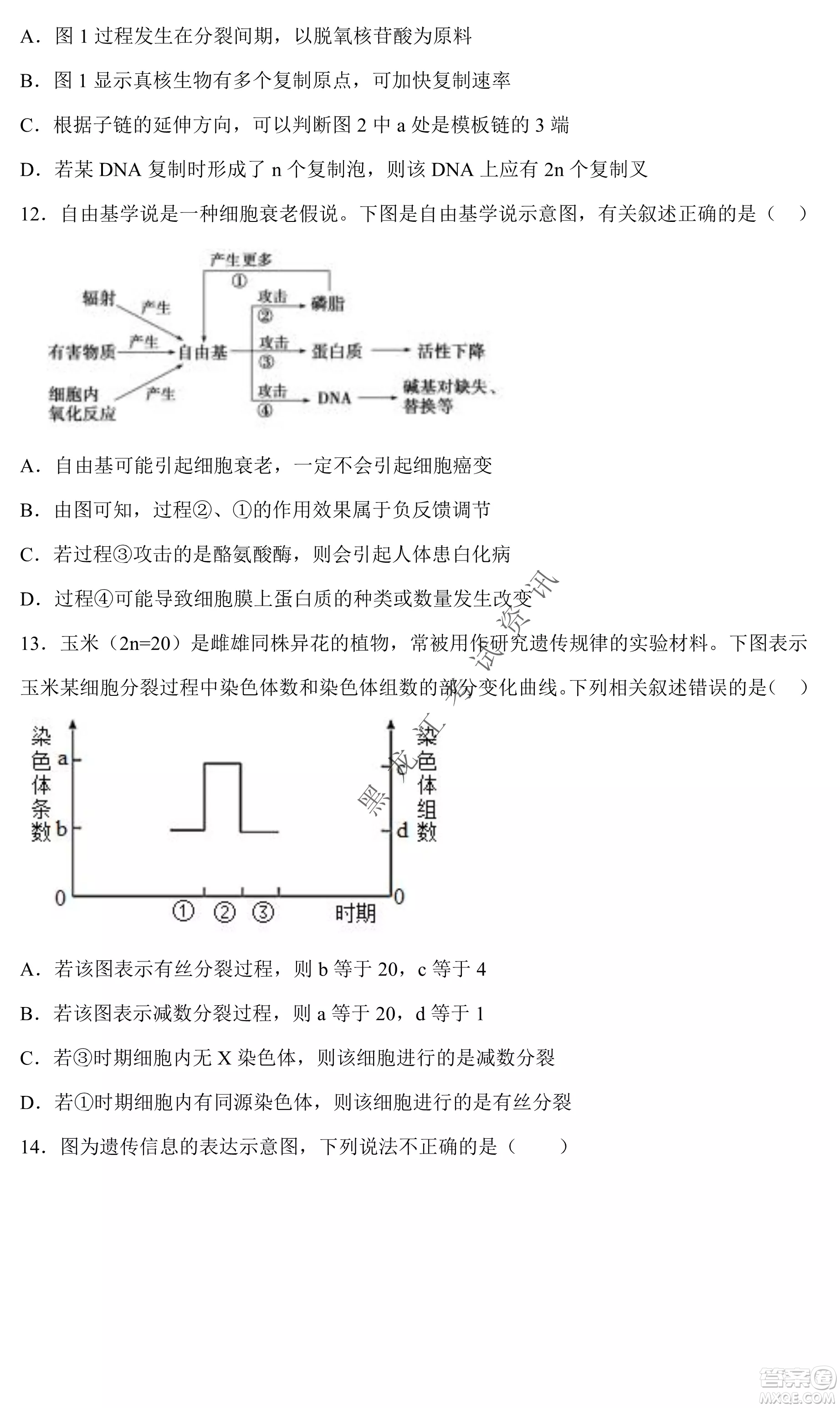 2023遼寧省六校高三期中考試生物試題及答案