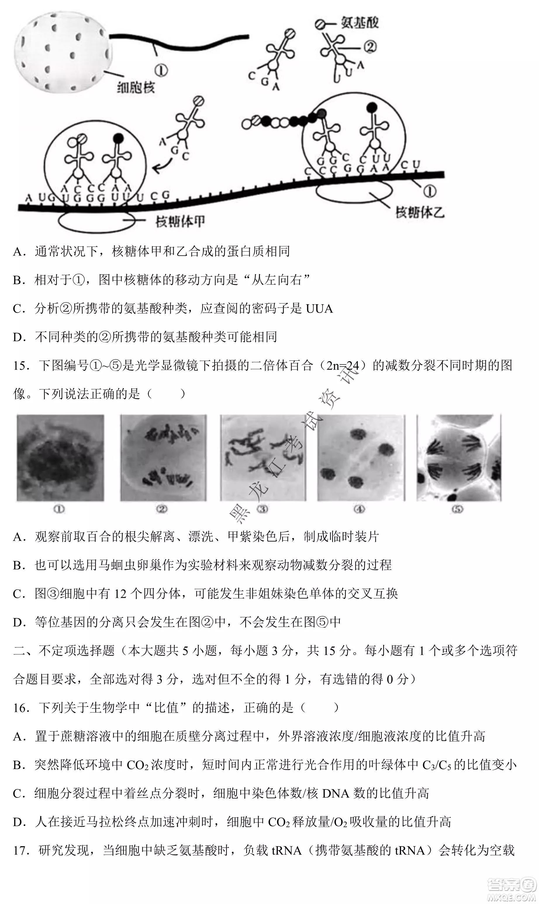 2023遼寧省六校高三期中考試生物試題及答案