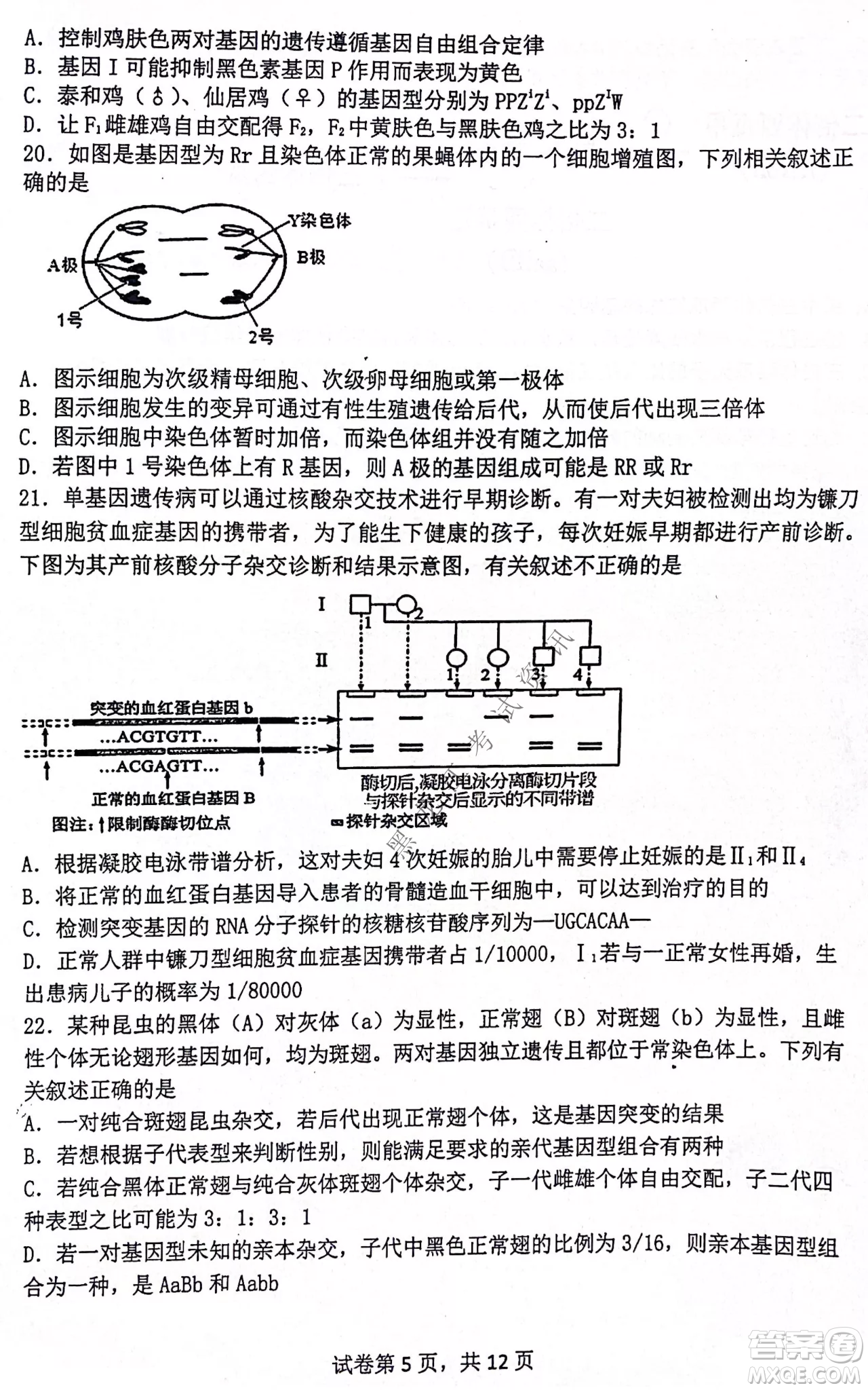 齊齊哈爾市部分地區(qū)高三上學(xué)期期中考試生物試題答案