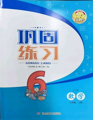 湖南教育出版社2022鞏固練習(xí)六年級(jí)上冊數(shù)學(xué)蘇教版參考答案