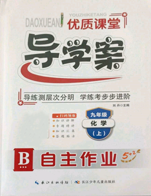 長江少年兒童出版社2022優(yōu)質(zhì)課堂導(dǎo)學(xué)案B自主作業(yè)九年級(jí)上冊(cè)化學(xué)人教版參考答案