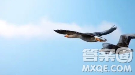 成功的條件主題作文800字 關(guān)于成功的條件的主題作文800字