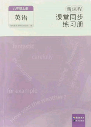 海南出版社2022新課程課堂同步練習(xí)冊(cè)八年級(jí)上冊(cè)英語人教版參考答案
