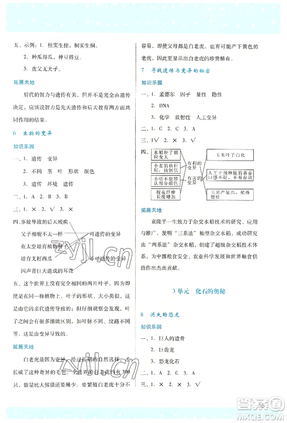 陜西人民教育出版社2022新課程學(xué)習(xí)與評價六年級上冊數(shù)學(xué)蘇教版參考答案
