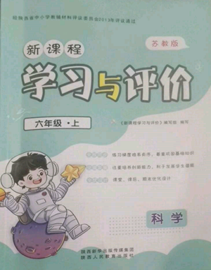 陜西人民教育出版社2022新課程學(xué)習(xí)與評價六年級上冊數(shù)學(xué)蘇教版參考答案