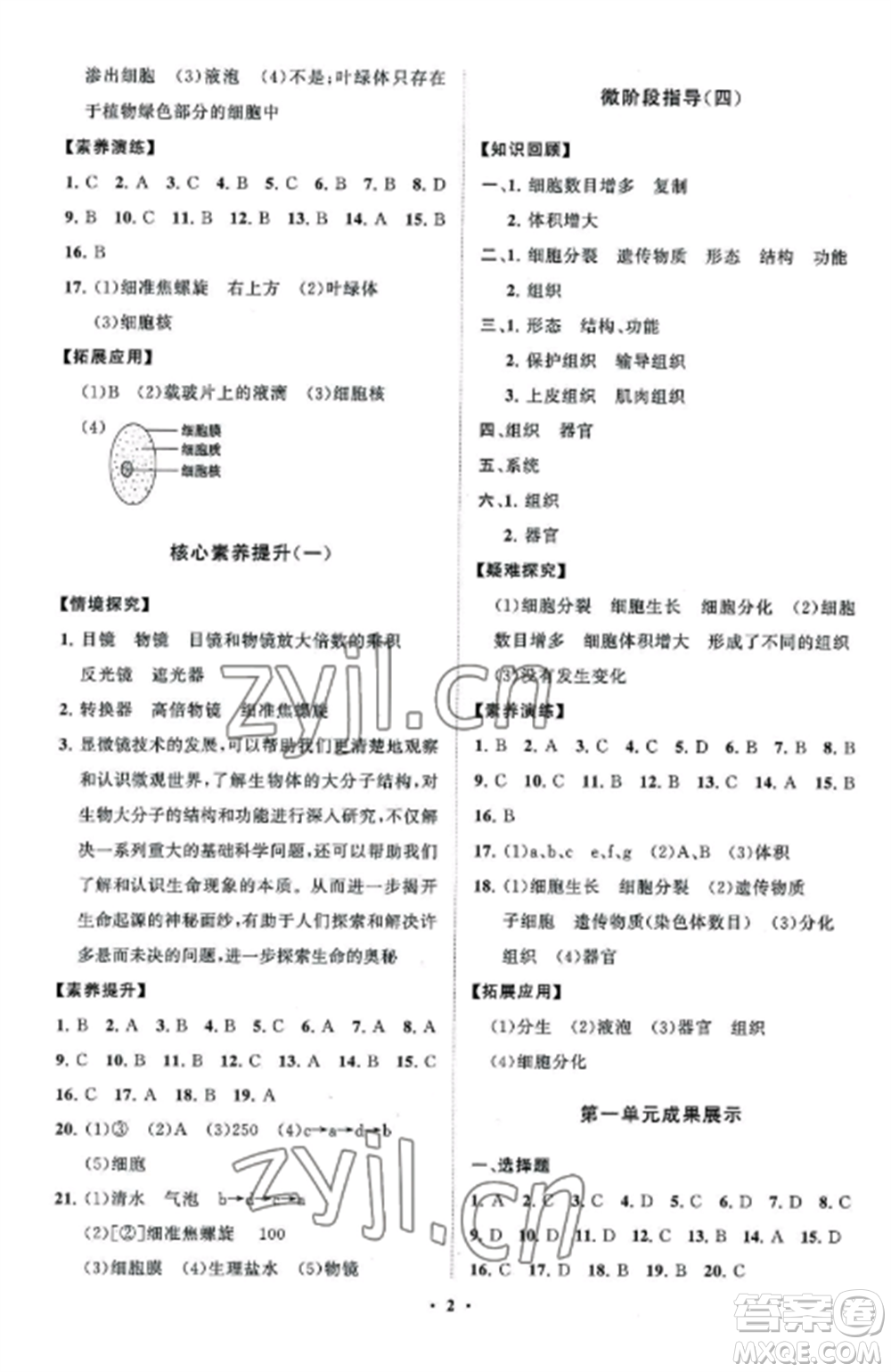 山東教育出版社2022初中同步練習(xí)冊分層卷七年級生物上冊濟南版參考答案