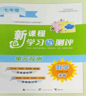 廣西師范大學(xué)出版社2022新課程學(xué)習(xí)與測(cè)評(píng)單元雙測(cè)七年級(jí)數(shù)學(xué)上冊(cè)湘教版B版參考答案
