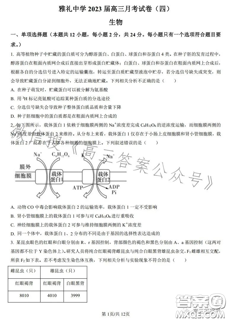 雅禮中學2023屆高三月考四生物試卷答案