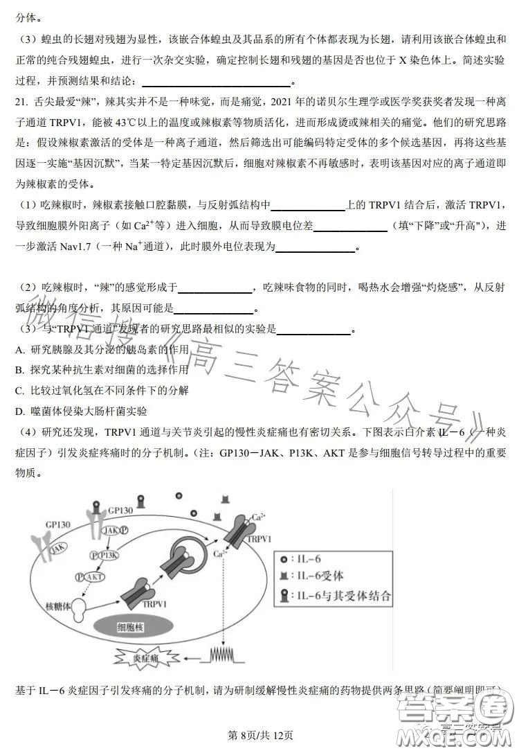 雅禮中學2023屆高三月考四生物試卷答案