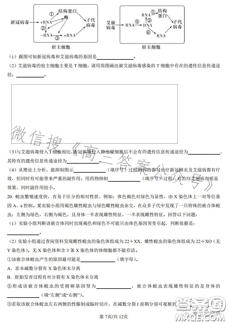 雅禮中學2023屆高三月考四生物試卷答案