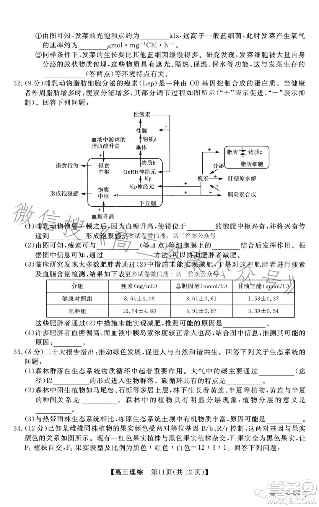2022-2023學(xué)年金科大聯(lián)考高三12月質(zhì)量檢測(cè)理科綜合試卷答案