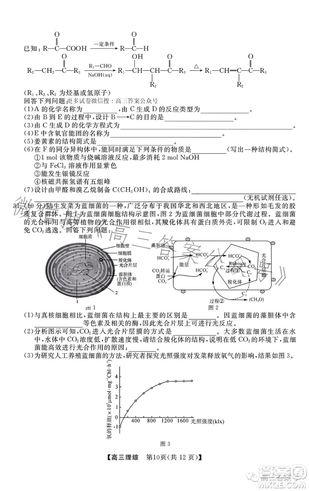 2022-2023學(xué)年金科大聯(lián)考高三12月質(zhì)量檢測(cè)理科綜合試卷答案