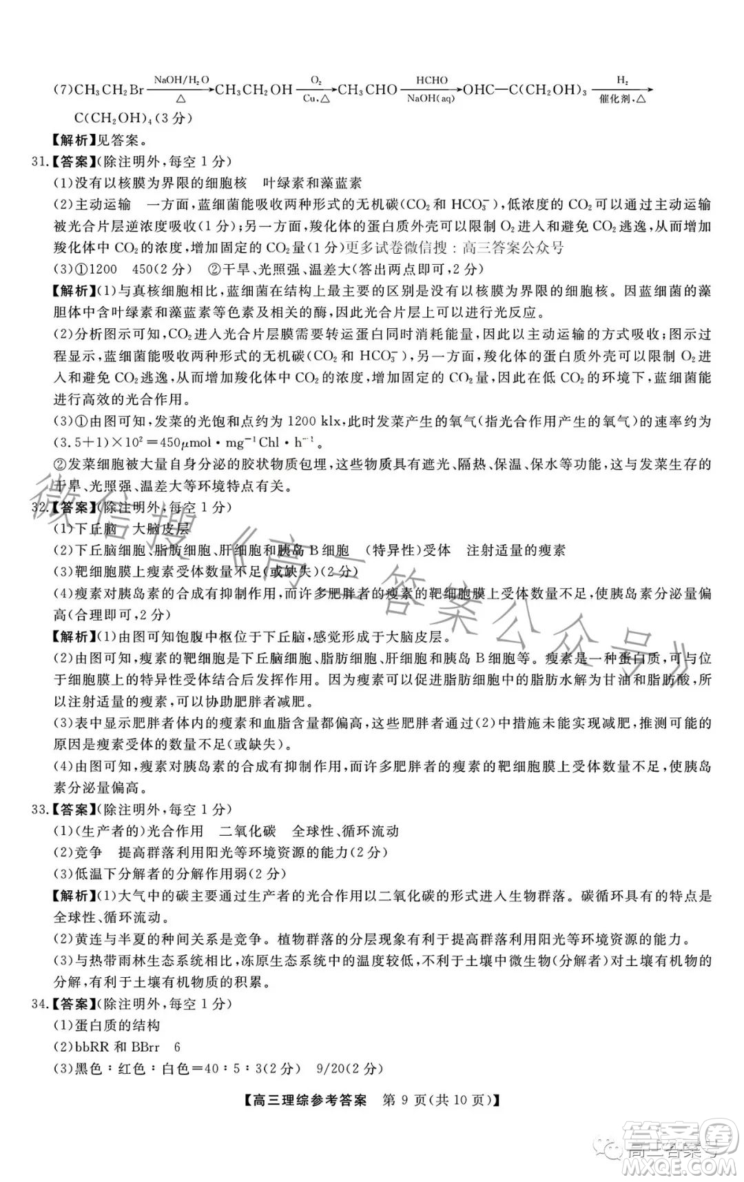 2022-2023學(xué)年金科大聯(lián)考高三12月質(zhì)量檢測(cè)理科綜合試卷答案