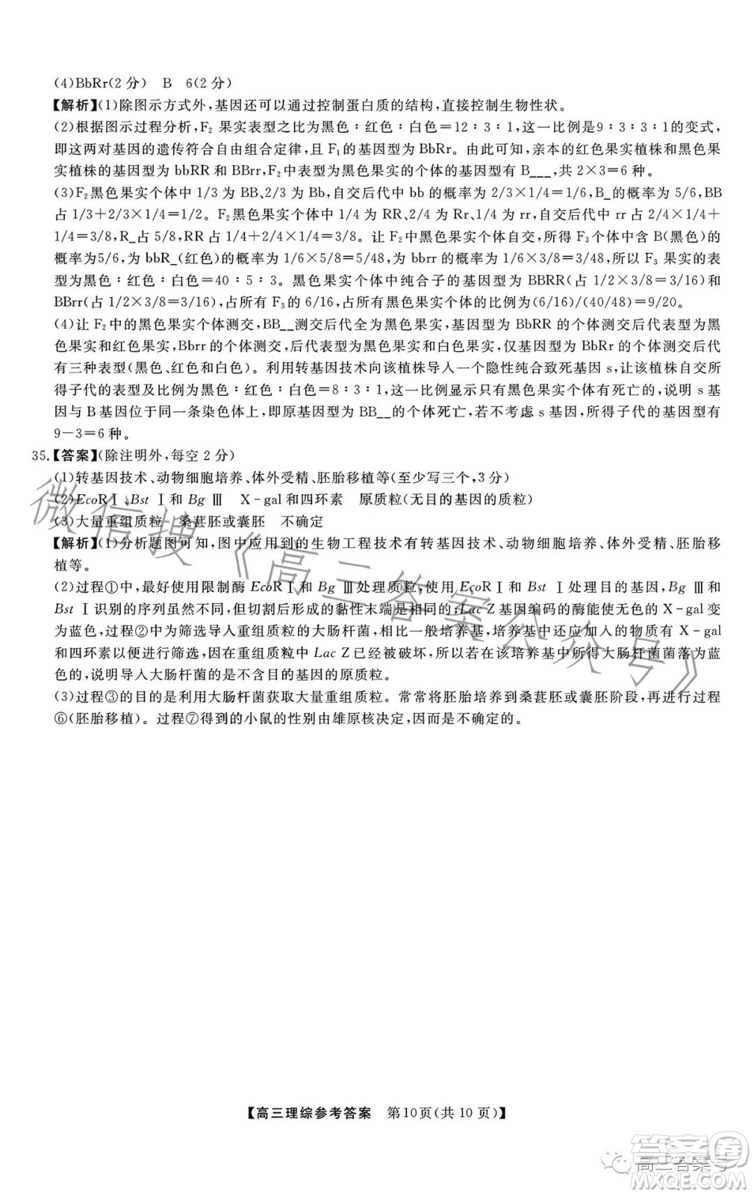 2022-2023學(xué)年金科大聯(lián)考高三12月質(zhì)量檢測(cè)理科綜合試卷答案