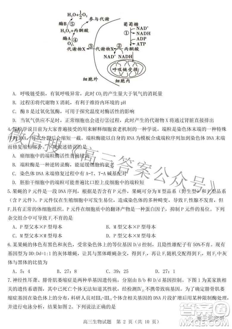 山東中學(xué)聯(lián)盟2020級高三12月百校大聯(lián)考生物試卷答案