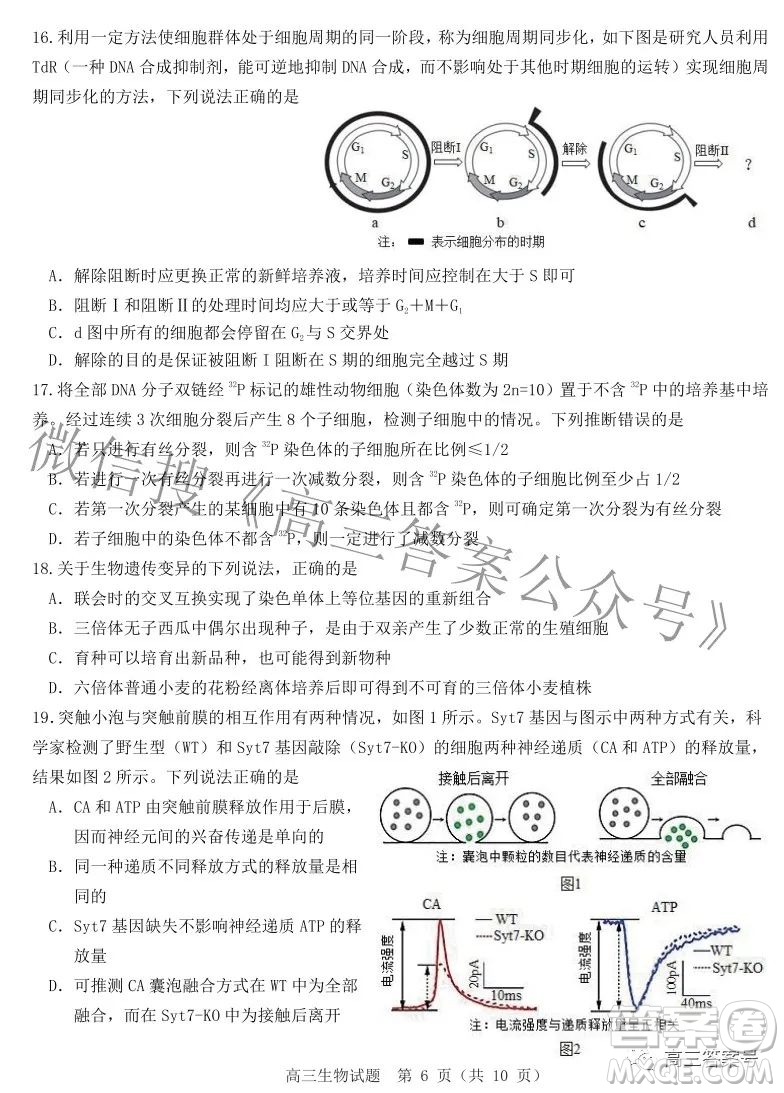 山東中學(xué)聯(lián)盟2020級高三12月百校大聯(lián)考生物試卷答案