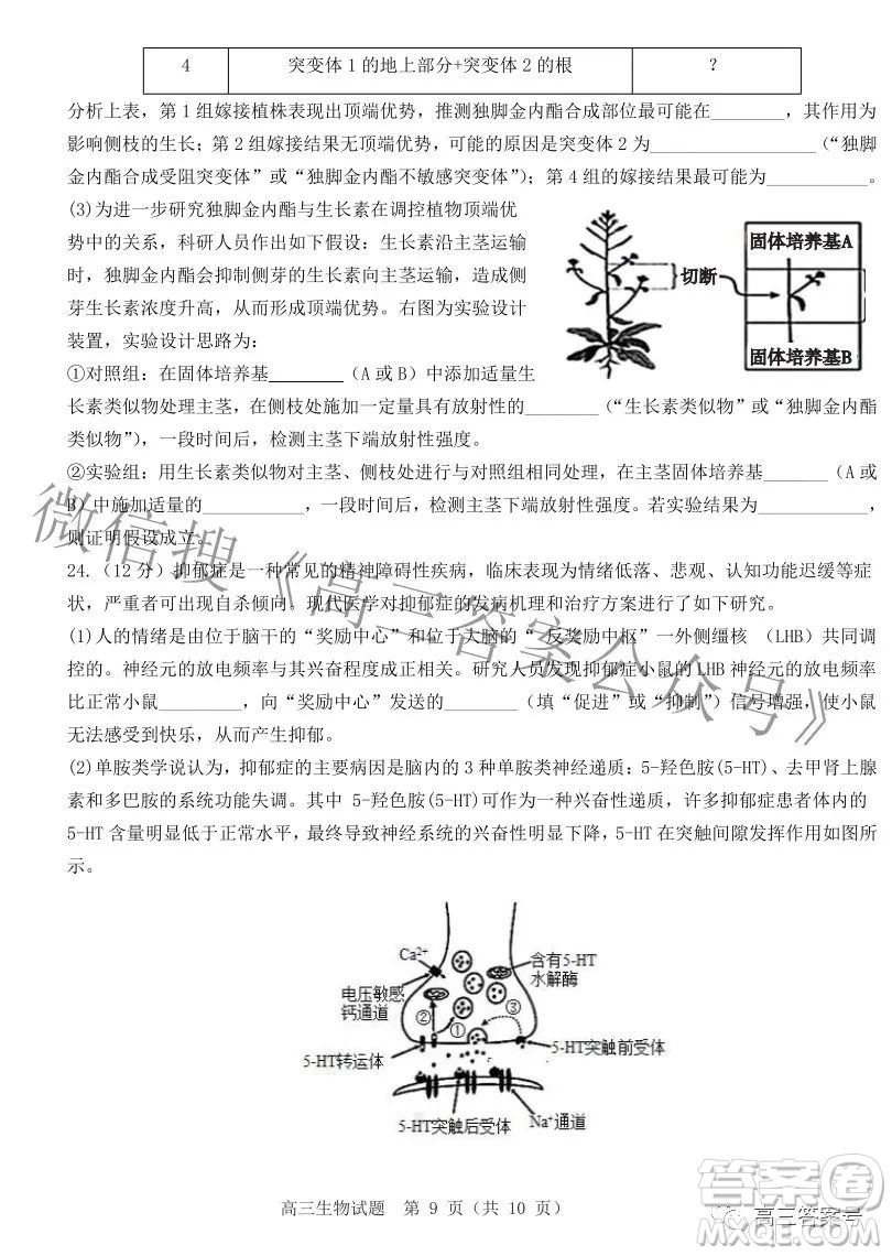 山東中學(xué)聯(lián)盟2020級高三12月百校大聯(lián)考生物試卷答案