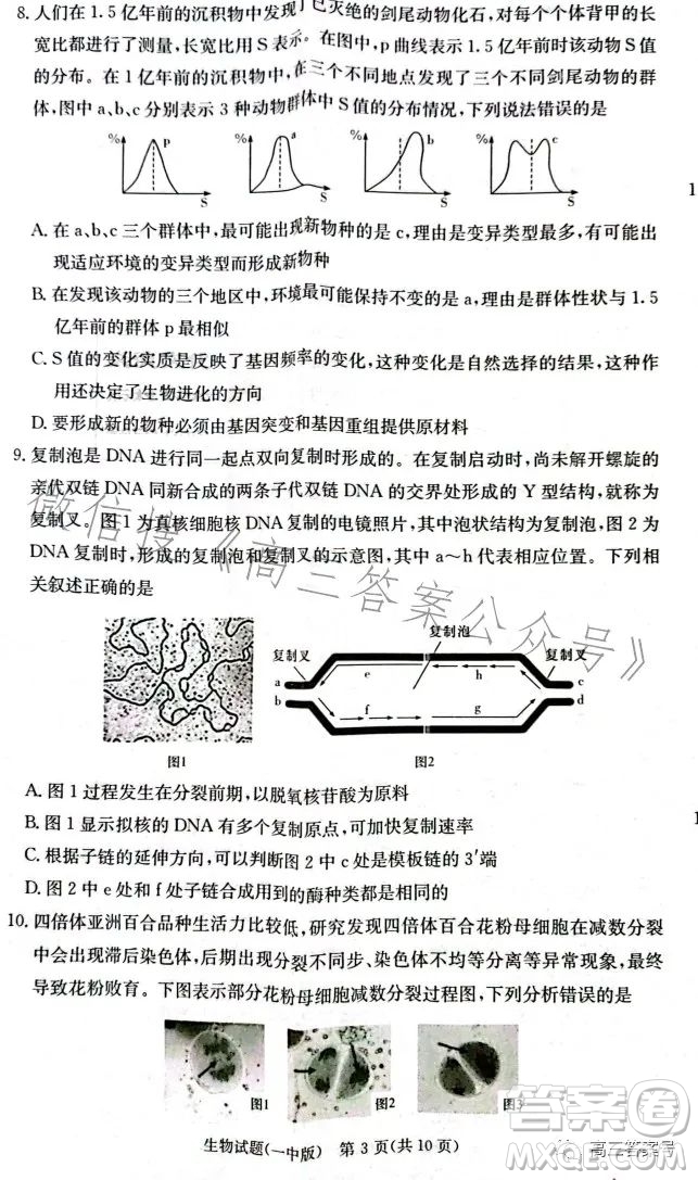 長(zhǎng)沙市一中2023屆高三月考試卷四生物試卷答案