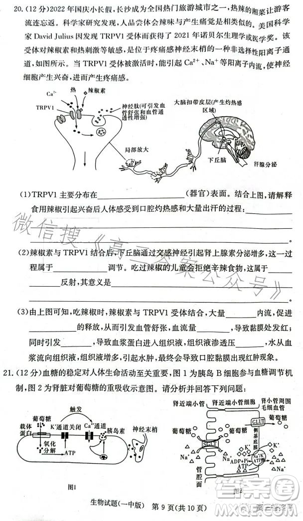 長(zhǎng)沙市一中2023屆高三月考試卷四生物試卷答案