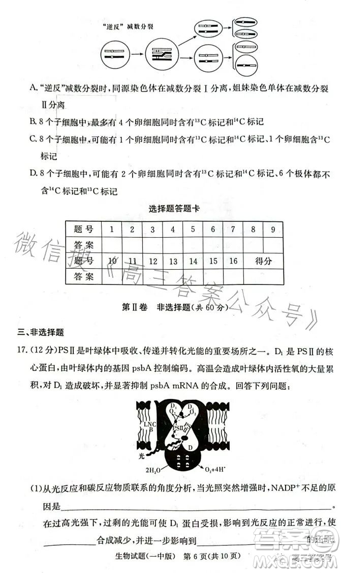 長(zhǎng)沙市一中2023屆高三月考試卷四生物試卷答案
