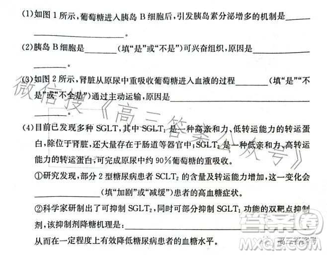 長(zhǎng)沙市一中2023屆高三月考試卷四生物試卷答案