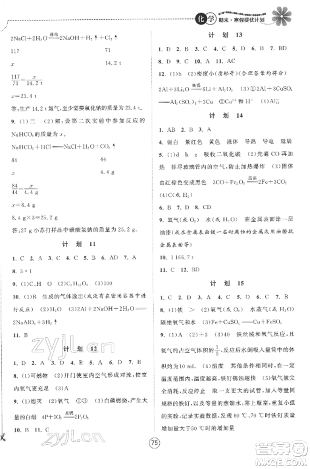 南京大學(xué)出版社2022期末寒假提優(yōu)計(jì)劃九年級(jí)化學(xué)全冊(cè)滬科版參考答案