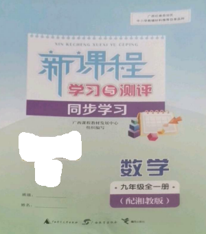 廣西教育出版社2022新課程學習與測評同步學習九年級數(shù)學全冊湘教版參考答案