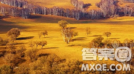 見一葉落而知歲之將暮材料作文800字 關于見一葉落而知歲之將暮的材料作文800字