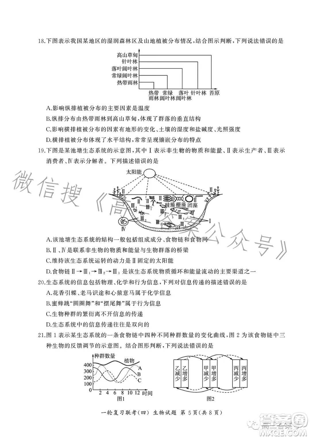 百師聯(lián)盟2023屆高三一輪復(fù)習(xí)聯(lián)考四生物試卷答案