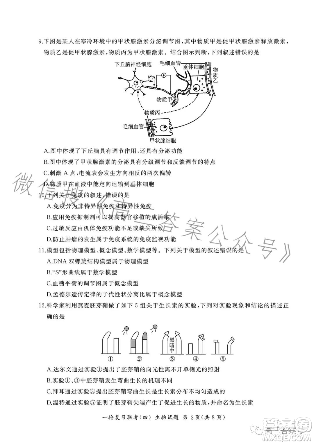 百師聯(lián)盟2023屆高三一輪復(fù)習(xí)聯(lián)考四生物試卷答案