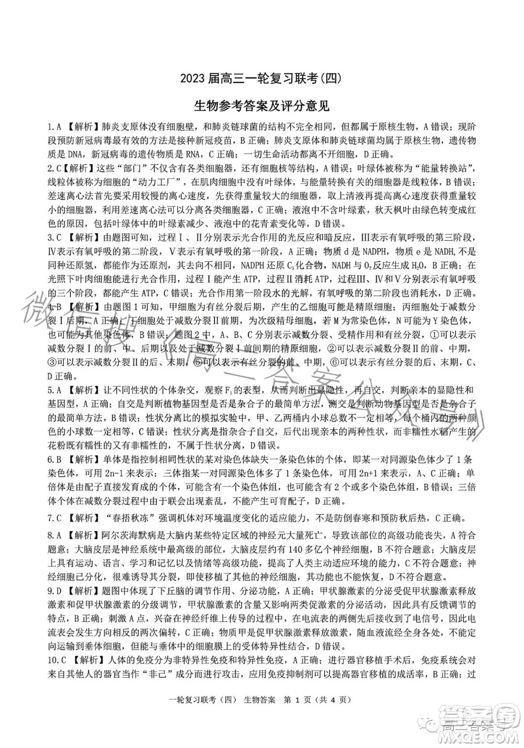 百師聯(lián)盟2023屆高三一輪復(fù)習(xí)聯(lián)考四生物試卷答案