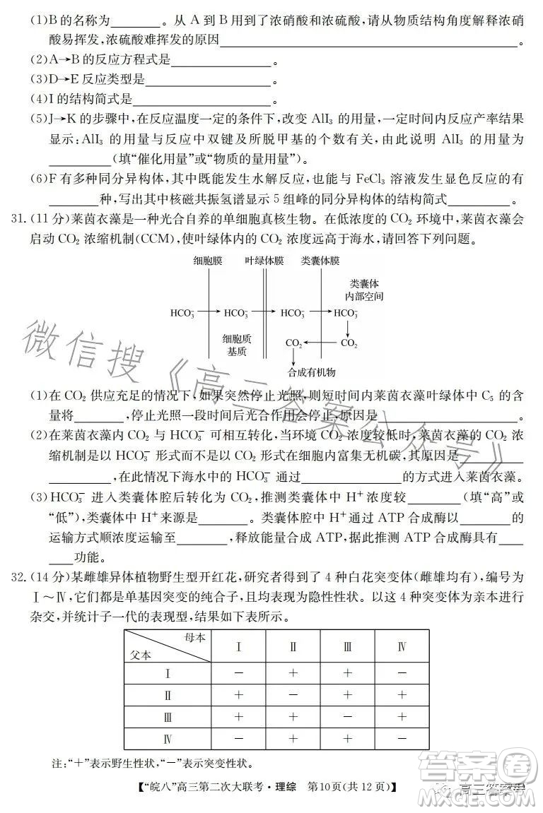 2023屆皖南八校高三第二次大聯(lián)考理科綜合試卷答案