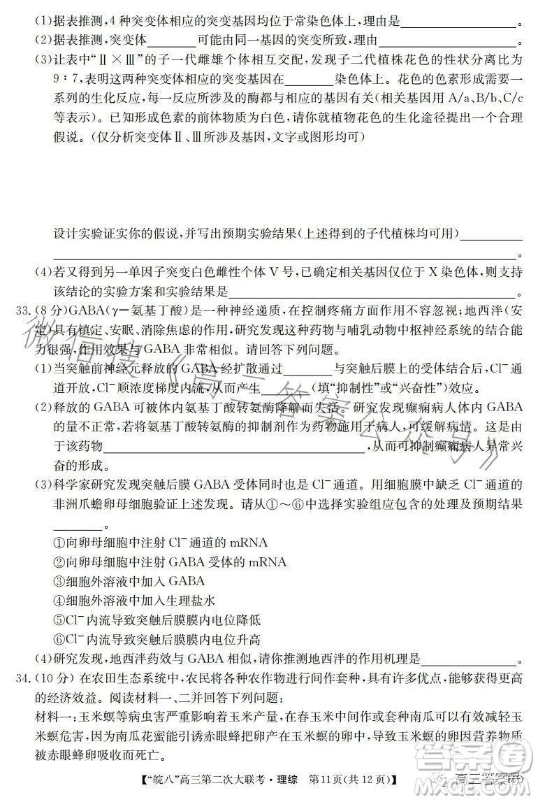 2023屆皖南八校高三第二次大聯(lián)考理科綜合試卷答案