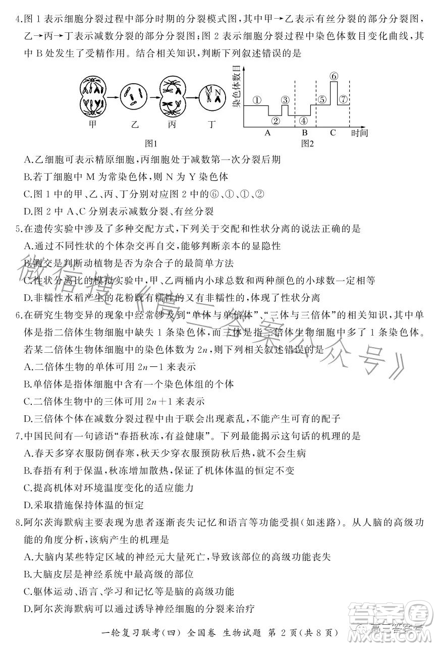 百師聯(lián)盟2022屆高三一輪復習聯(lián)考一全國卷生物試卷答案