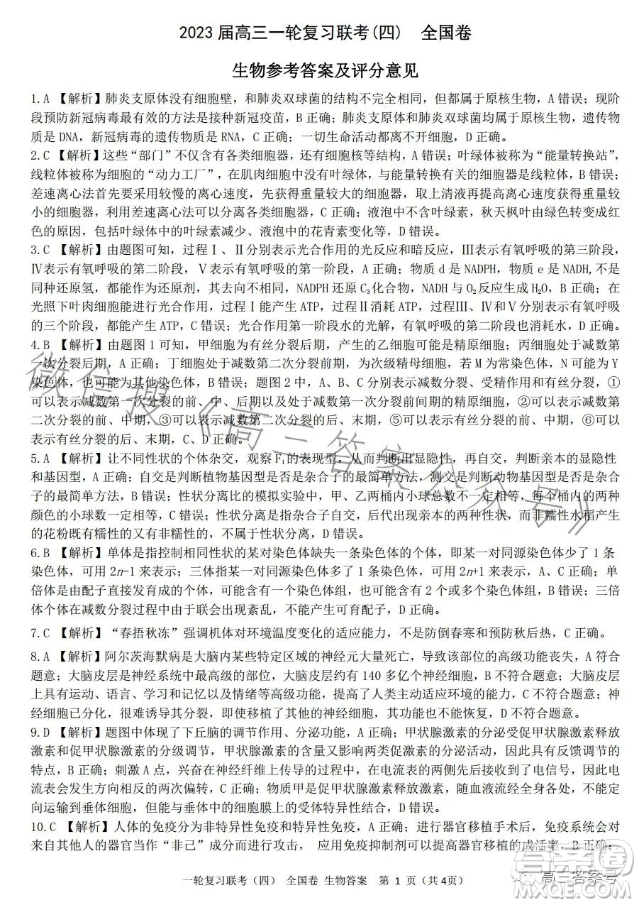 百師聯(lián)盟2022屆高三一輪復習聯(lián)考一全國卷生物試卷答案