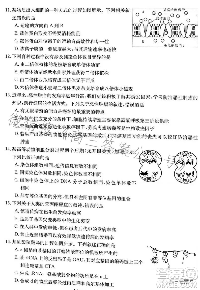 浙里卷天下2022-2023學(xué)年高三百校聯(lián)考12月測試生物試卷答案