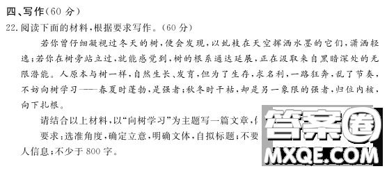 向樹(shù)學(xué)習(xí)主題作文800字 關(guān)于向樹(shù)學(xué)習(xí)的主題作文800字
