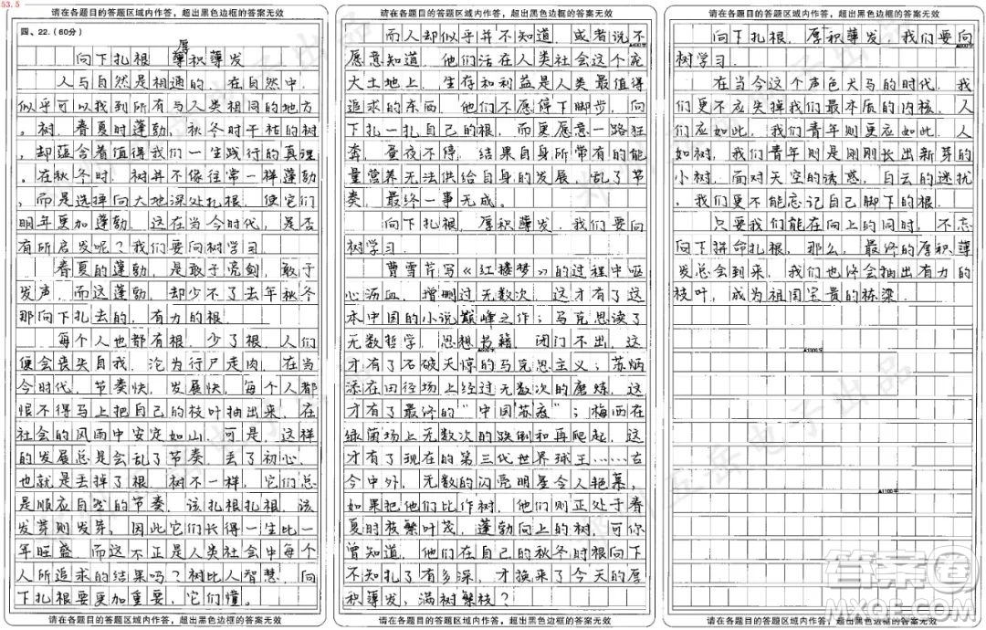 向樹(shù)學(xué)習(xí)主題作文800字 關(guān)于向樹(shù)學(xué)習(xí)的主題作文800字