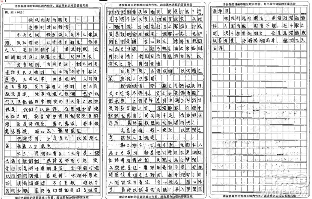 向樹(shù)學(xué)習(xí)主題作文800字 關(guān)于向樹(shù)學(xué)習(xí)的主題作文800字
