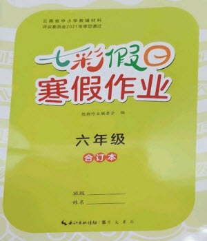 崇文書局2023七彩假日快樂假期寒假作業(yè)六年級合訂本人教版參考答案