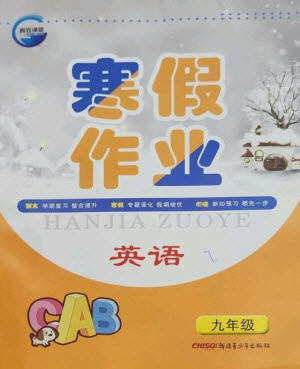 新疆青少年出版社2023寒假作業(yè)九年級英語人教版參考答案