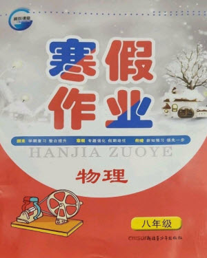 新疆青少年出版社2023寒假作業(yè)八年級(jí)物理通用版參考答案