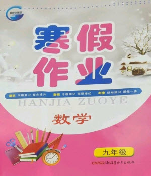 新疆青少年出版社2023寒假作業(yè)九年級數(shù)學人教版參考答案