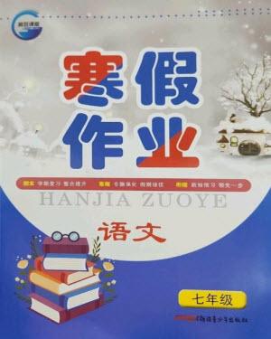 新疆青少年出版社2023寒假作業(yè)七年級語文人教版參考答案