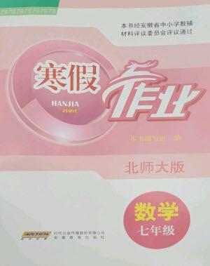 安徽教育出版社2023寒假作業(yè)七年級數(shù)學(xué)北師大版參考答案