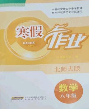 安徽教育出版社2023寒假作業(yè)八年級(jí)數(shù)學(xué)北師大版參考答案